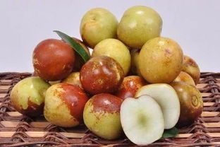 金秋你不上黃驊來走一趟,那就太遺憾了 因為得再等一年